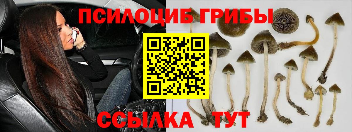 Галлюциногенные грибы GOLDEN TEACHER Новотроицк