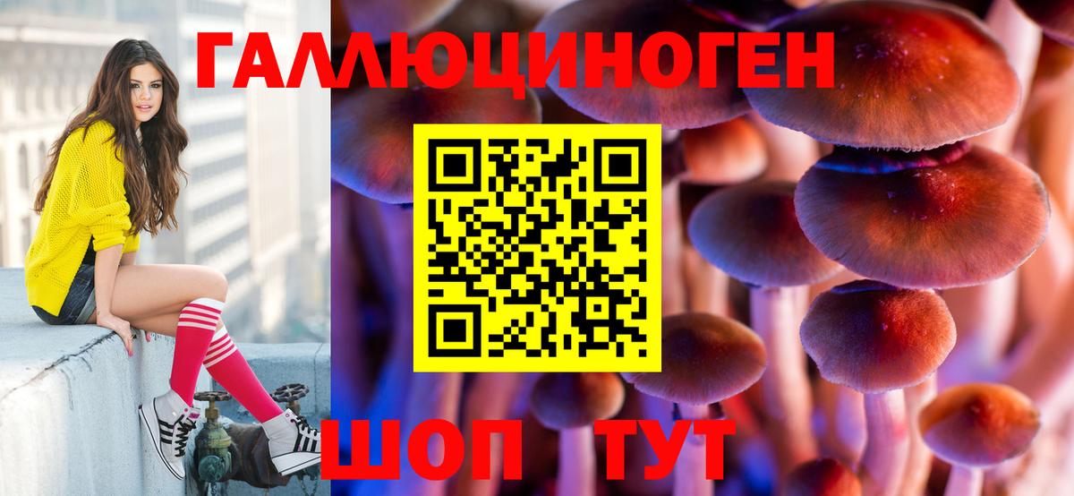 Новотроицк  Галлюциногенные грибы Magic Shrooms  Вход с VPN  Псилоцибиновые грибы Psilocybe 